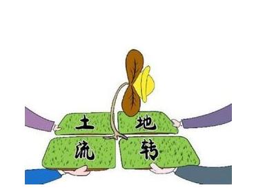 土地流轉(zhuǎn)